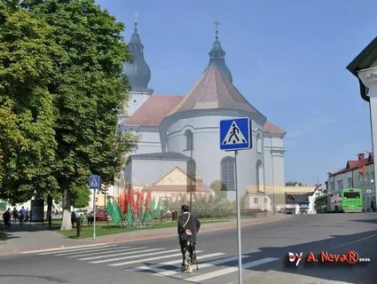 Жизнь слонима