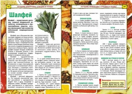Какие специи применять