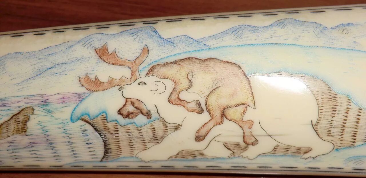 Рисование на бивне моржа. Рисунок Северного моржа красками. Рисунки на моржовом Клыке. Клык моржа с рисунками.