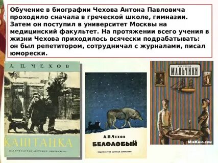 Вопросы к рассказу мальчики