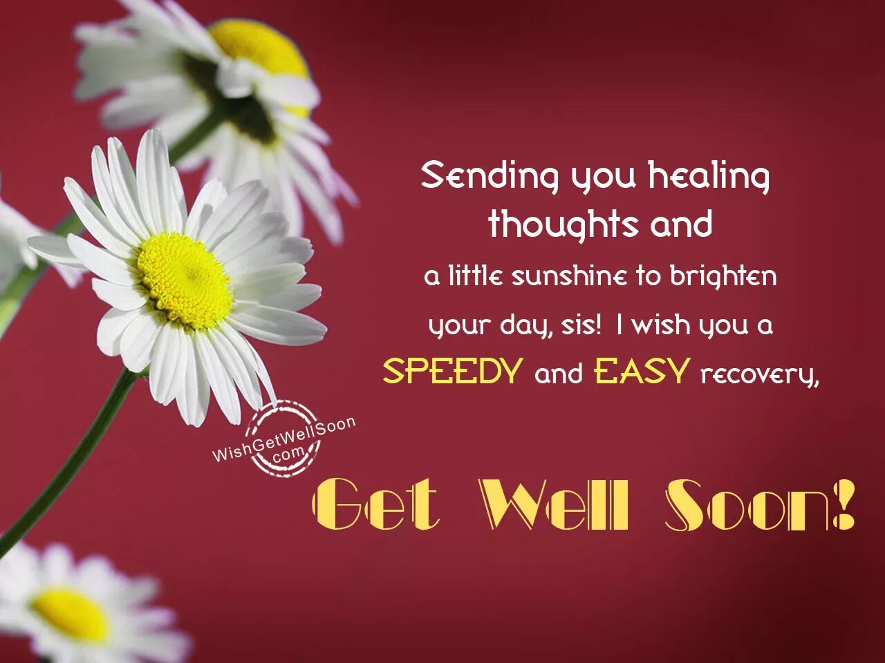 Wish you a Speedy Recovery. Wishing you a Speedy Recovery. Wish a Speedy Recovery. Soon Recovery Wishes. Send wish