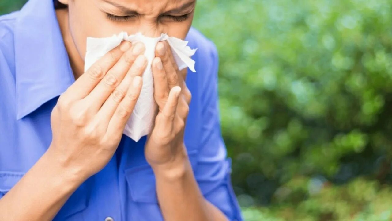 Аллергия из за компьютера. Аллергия на домашнюю пыль.