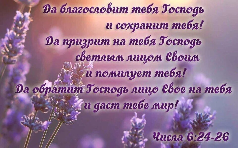 Благословите перевод. День благословения открытки. Пожелание благословения на день. Открытка благослови тебя Господь. Открытки Божьего благословения на день.