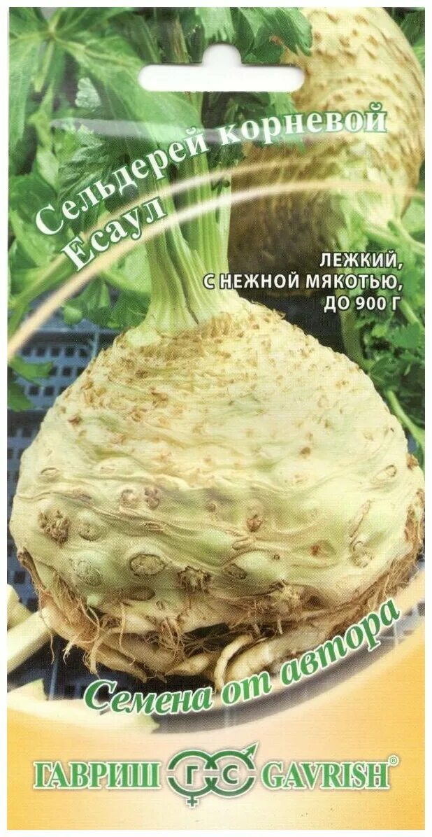 сельдерей корневой диамант. диамант сорт сельдерея. семена корневой. семена корневой.