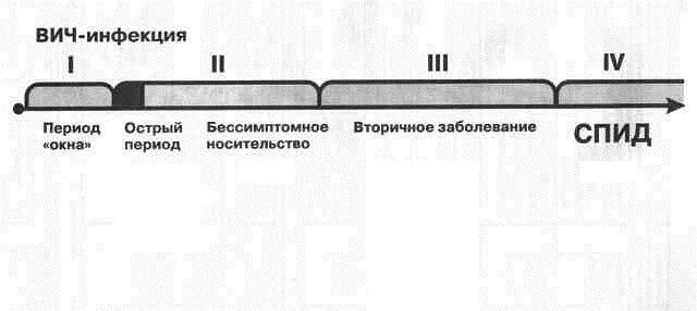 Период окна при ВИЧ-инфекции это. Окно при ВИЧ инфекции сроки. Период окна при ВИЧ. Период серонегативного окна при ВИЧ. Серонегативное окно при вич