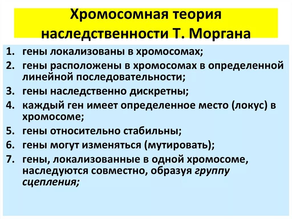 Развитие теории наследственности. Основные положения хромосомной теории наследственности т.Моргана. Основные положения хромосомной теории Моргана кратко. Основные положения генной теории наследственности.