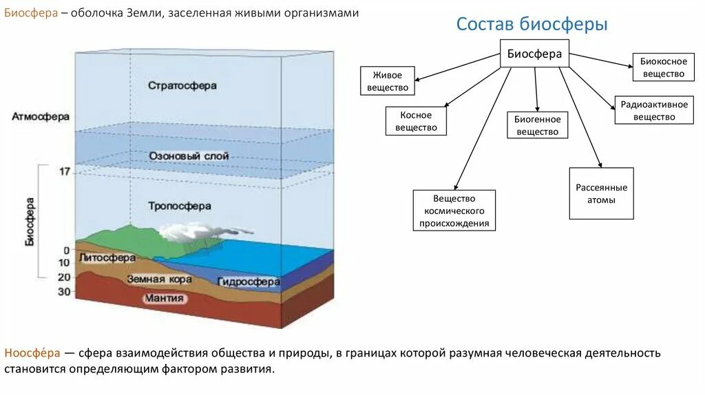 Чем определяются границы распространения живых организмов. Биосфера оболочки земли таблица. Нарисовать схему границы биосферы. Биосфера оболочка земли схема. Таблица структура биосферы и ее границы.