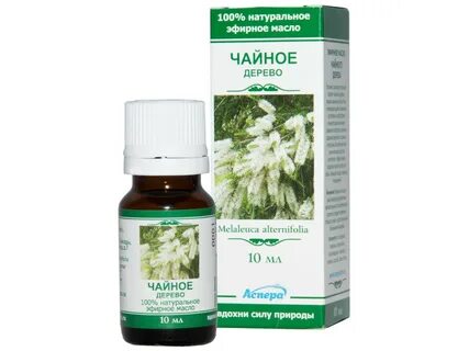 Чайное дерево масло для чего отзывы