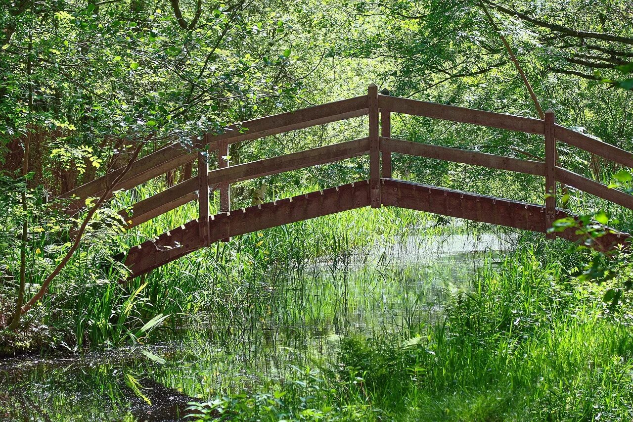 Мост троицкое бачурино. Мостик через ручей нижний парк липецк. Деревянный мост через реку. Деревянный мост через реку. Деревянный мост.