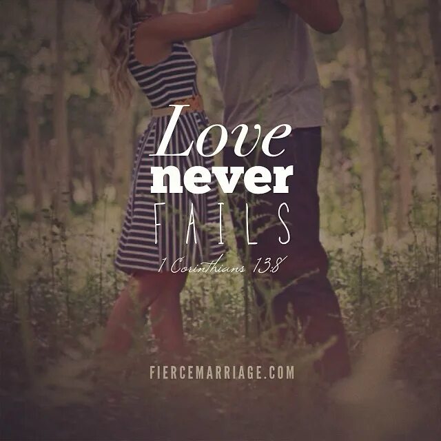 It s a never love. Never Love группа. Never Love солист.