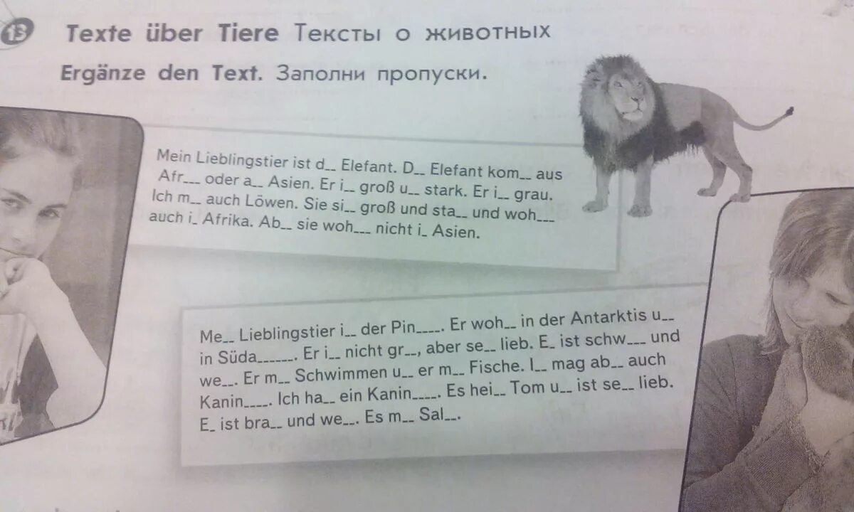 Животные на немецком 5 класс. Die Tiere текст. Проект Mein Lieblingstier. Тексты с пропусками на немецком языке.