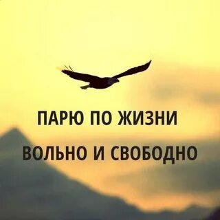 Да я свободна