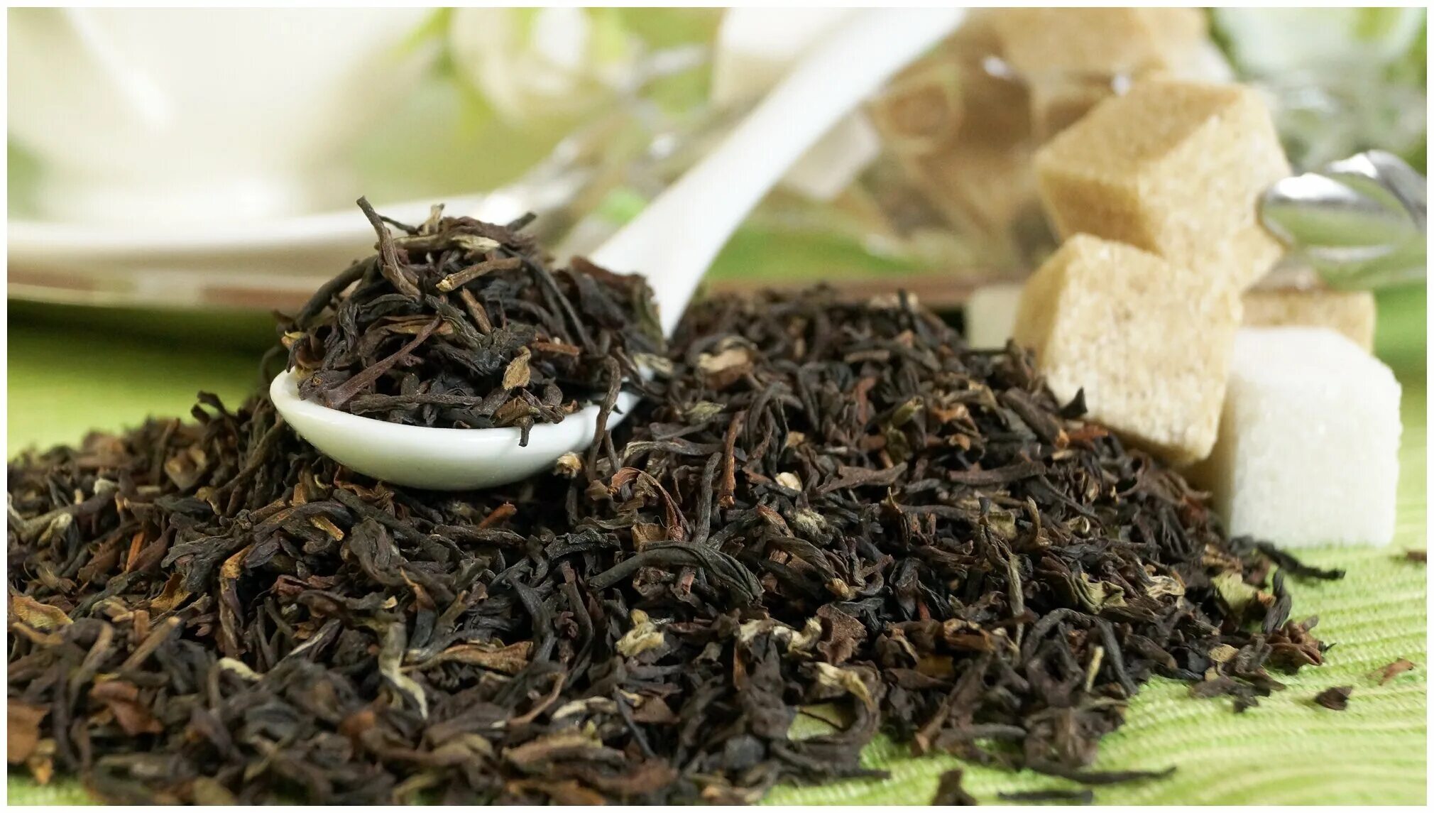 Листья чая купить. Индийский чай Дарджилинг. Чай черный Teaberry Дарджилинг. Лист чая Дарджилинг. Дарджилинг сбор чая.