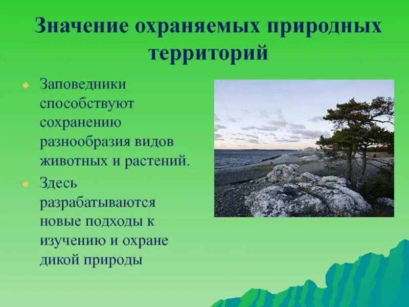 Проект заповедники россии 4 класс. Значение охраняемых природных территорий. Значение ООПТ. Актуальность проекта заповедники и национальные парки России. Заключение в проект о заповедниках.