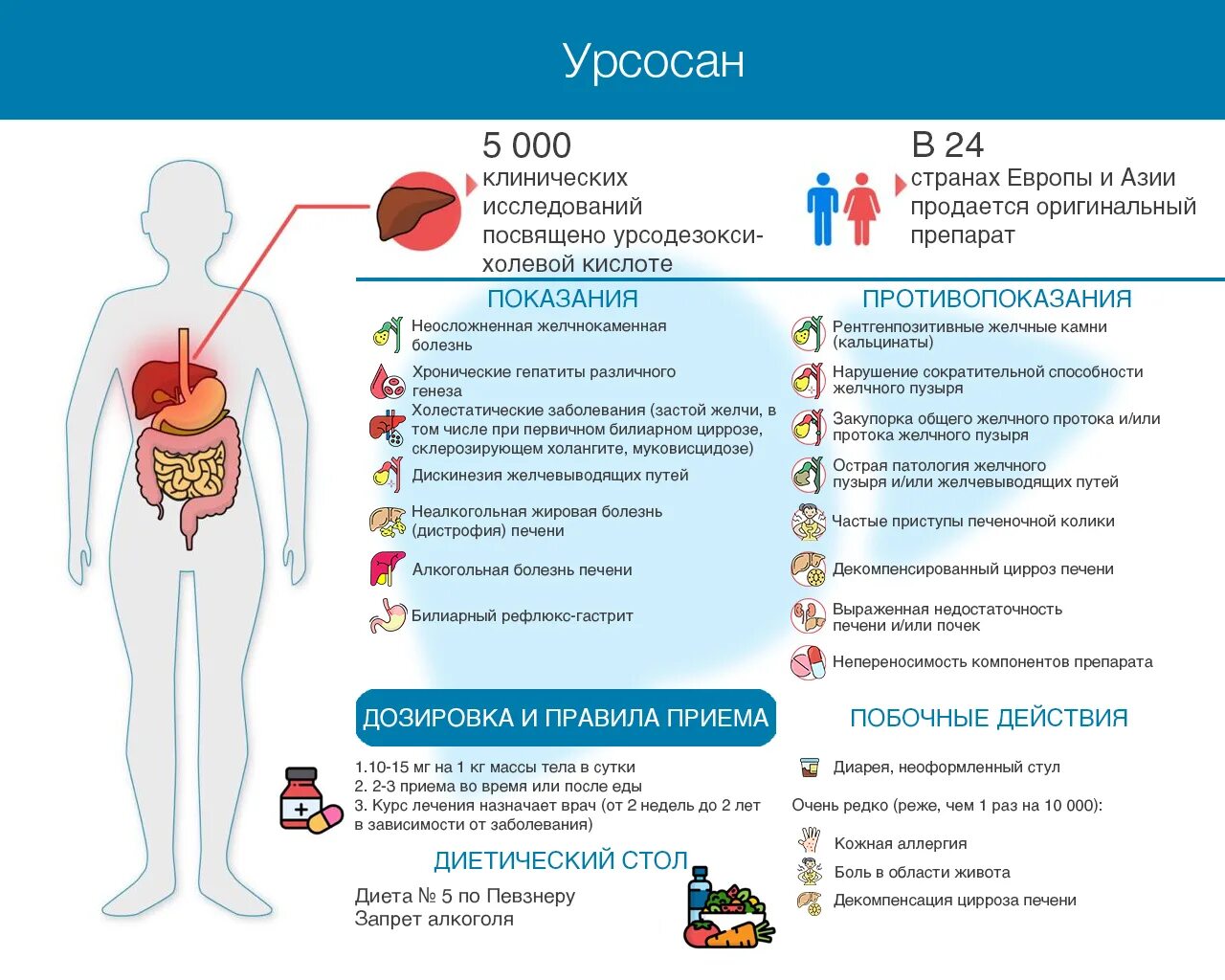 За какое время восстанавливается печень. Восстановление печени. Гепатопротекторы при циррозе печени.