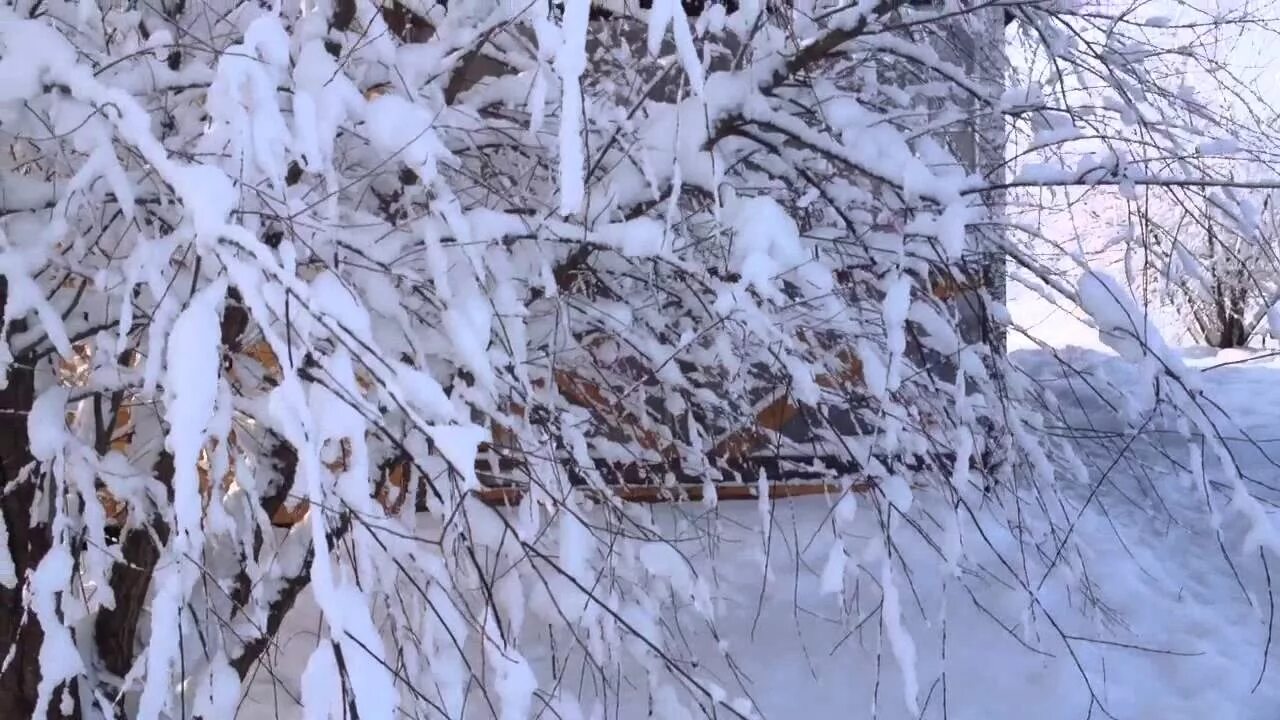 Такого снегопада. Кышкы Арча дерево. Кышкы Табигать на русском. Снег мп 3