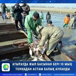Эротикалық балық аулау
