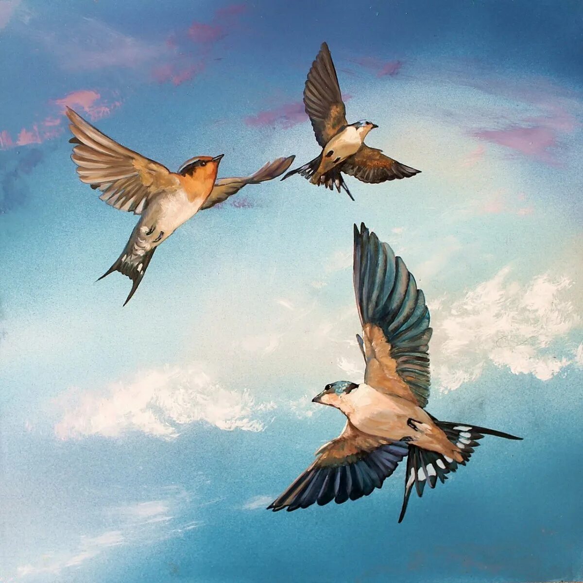 Летящие красивые птицы летящие. Птица в полете. Птица взлетает. Красивая птица в полете. Птицы улетают.
