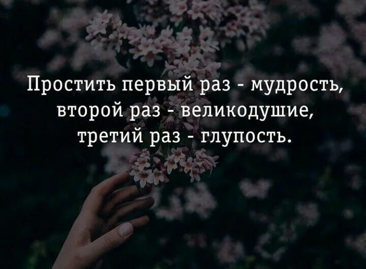 3 раза прости. Один раз простить это мудрость второй раз. Простить один раз мудрость второй раз великодушие.