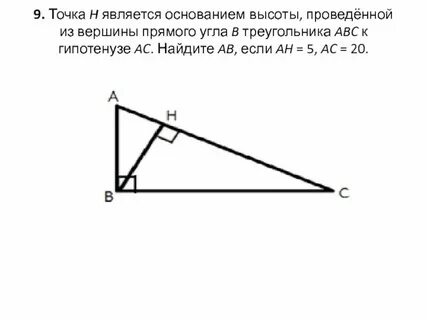 Сколько высот можно провести