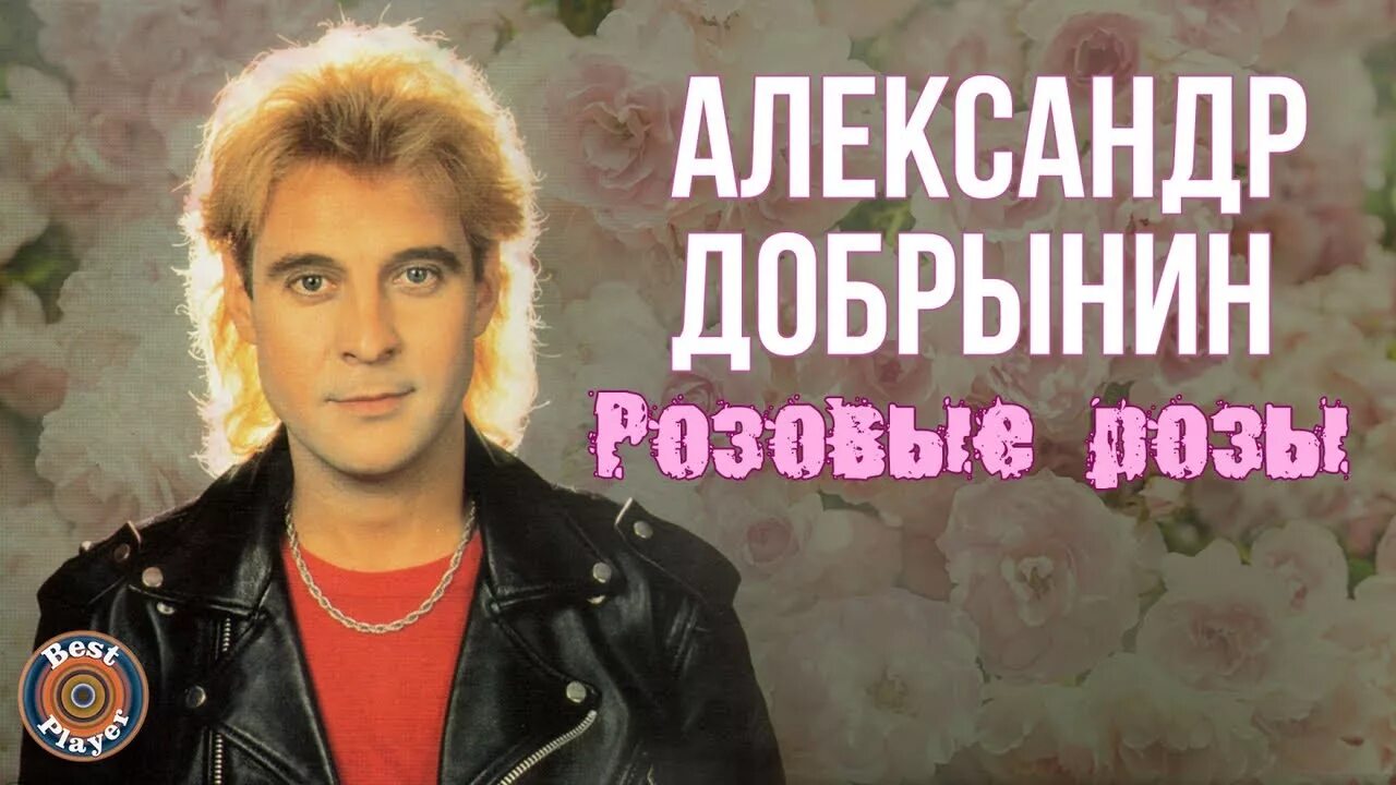 Светке соколовой 30 исполнитель. Розовые розы песня. Кто написал песню светки соколовой. Кто написал песню светки соколовой. Весёлые ребятаалександрдобрынин.