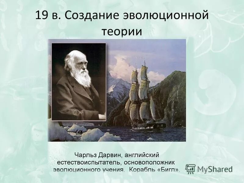 Основоположник учения эволюционизма. Создал эволюционное учение. Основоположником эволюции является. Современное учение об эволюции. Основоположником эволюционной этики был:.