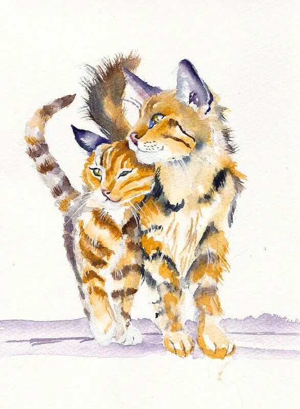 Рисунки пар животных. Акварельные кошки. кошка с котятами акварель. пара животных акварель. влюбленные коты акварель.
