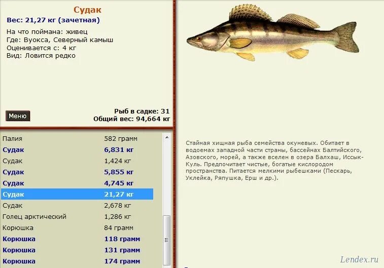 Русская рыбалка 3 вуокса голец арктический. Рыбалка 3 вуокса. Русская рыбалка 3 сом. На что ловится рыба сиг. Русская рыбалка 3 7 язь.