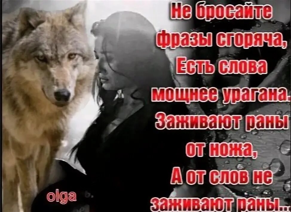 Не бросайте фразы. Не бросайте фразы