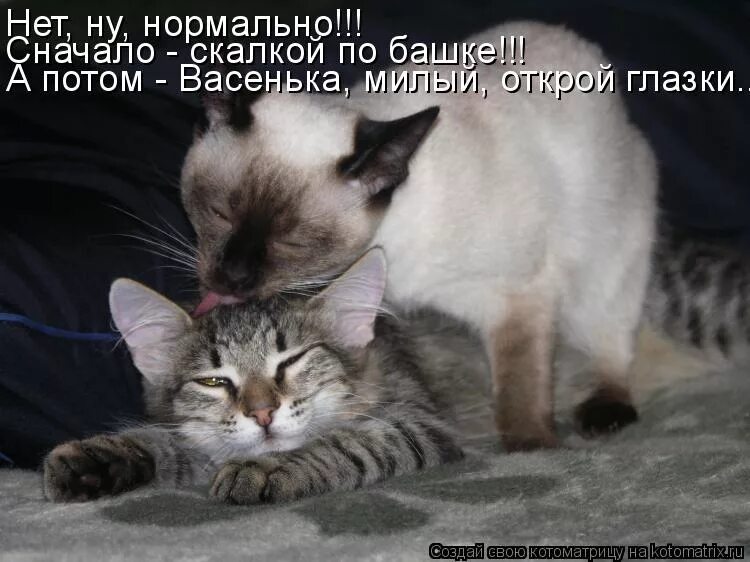 Все нормально целую