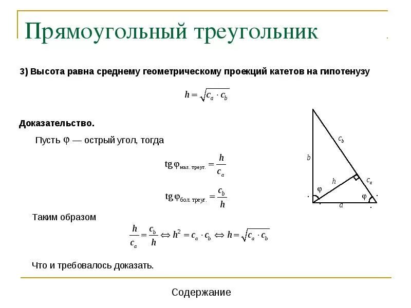 Проекция геометрия прямоугольный треугольник