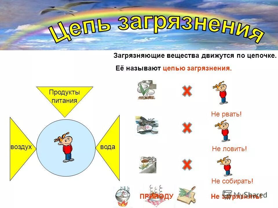 цепь загрязнения рисунок. цепь загрязнения рисунок. цепь экологической безопасности. цепь экологического загрязнения. пример цепи загрязнения.