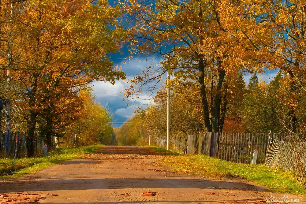 Пушгоры осень. Осень в пензенской области. Р п осень. Новосибирск осень берёзовая роща парк. Осень в поселке фото.
