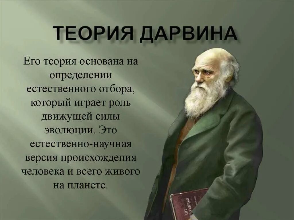 Гипотеза дарвина. Теория Чарльза Дарвина. Дарвин и его теория эволюции.