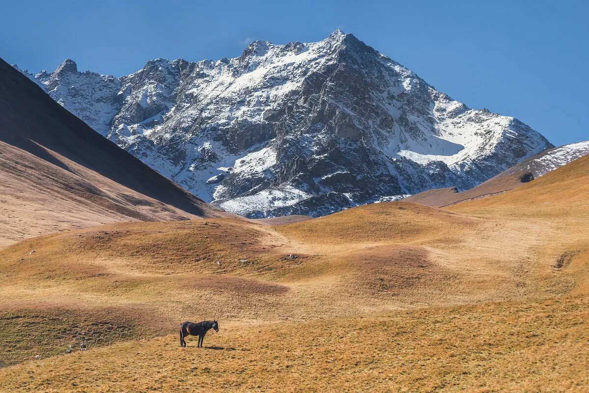 мухинские озера на домбае. мухинское ущелье. мухинское ущелье. мухинское озеро теберда. озеро мухинское шобайдак.