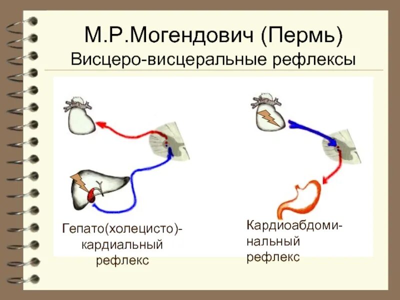 Могендович висцеро моторные рефлексы. Концепция моторно-висцеральных рефлексов. Теория моторно-висцеральных рефлексов схема. Висцеро соматический рефлекс.