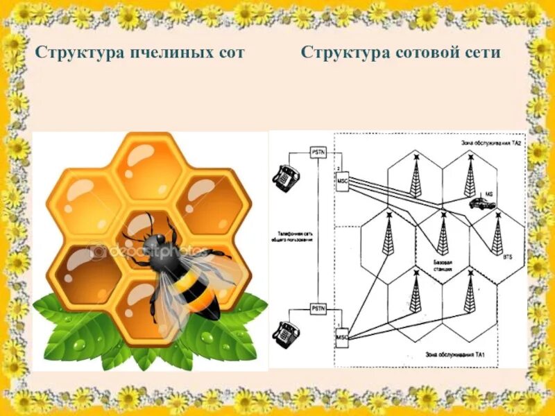 Технология сота