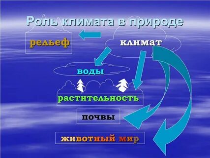Роль климатических факторов