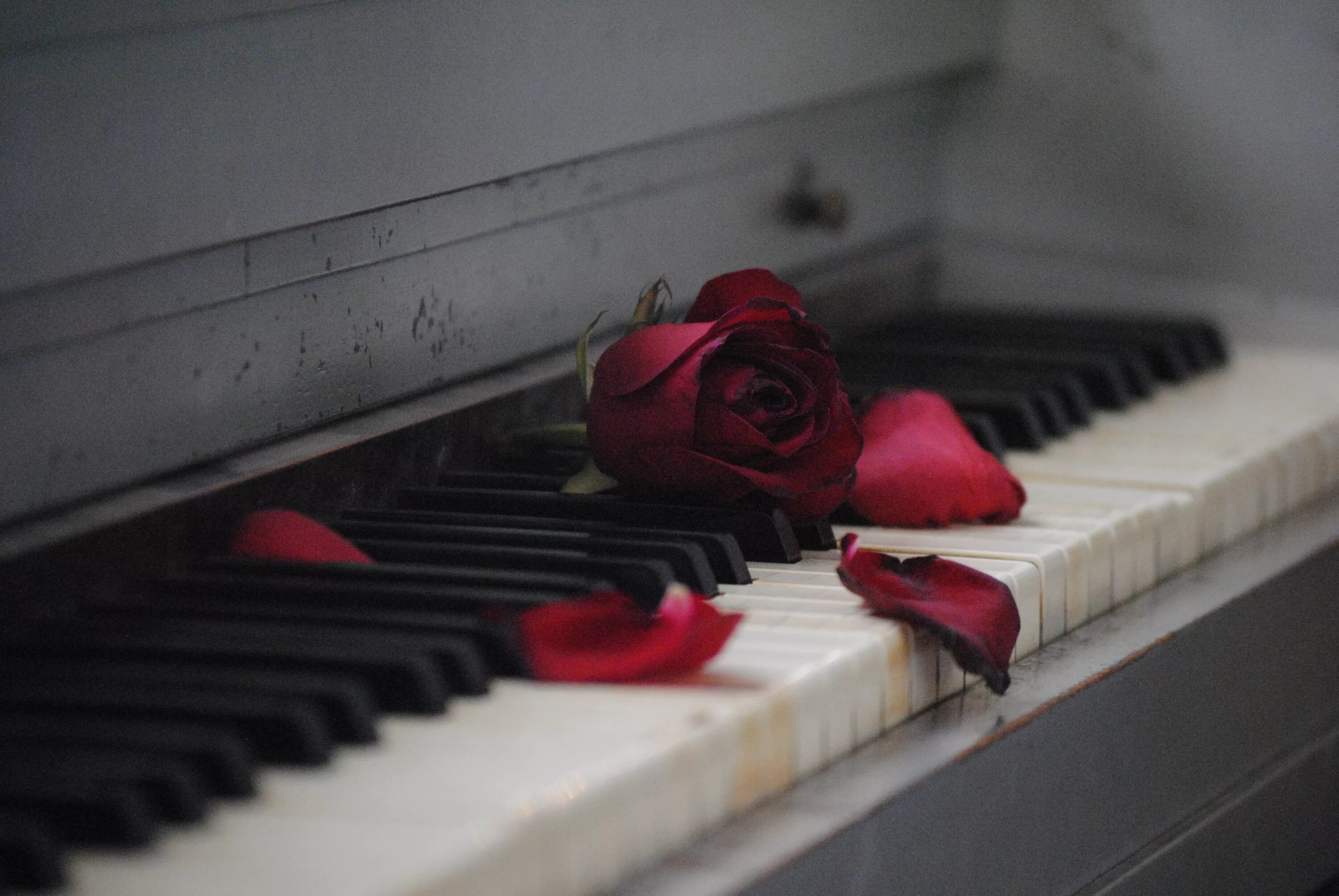 Рояль с цветами. Романтическое пианино. Фортепиано. Романтический рояль. Romance music