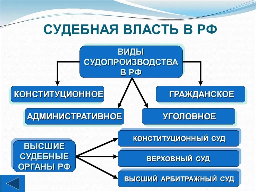 Власть в группе называется. Виды судопроизводства. Виды самопроизводства. Виды судопроизводства в РФ. Формы судопроизводства в РФ.