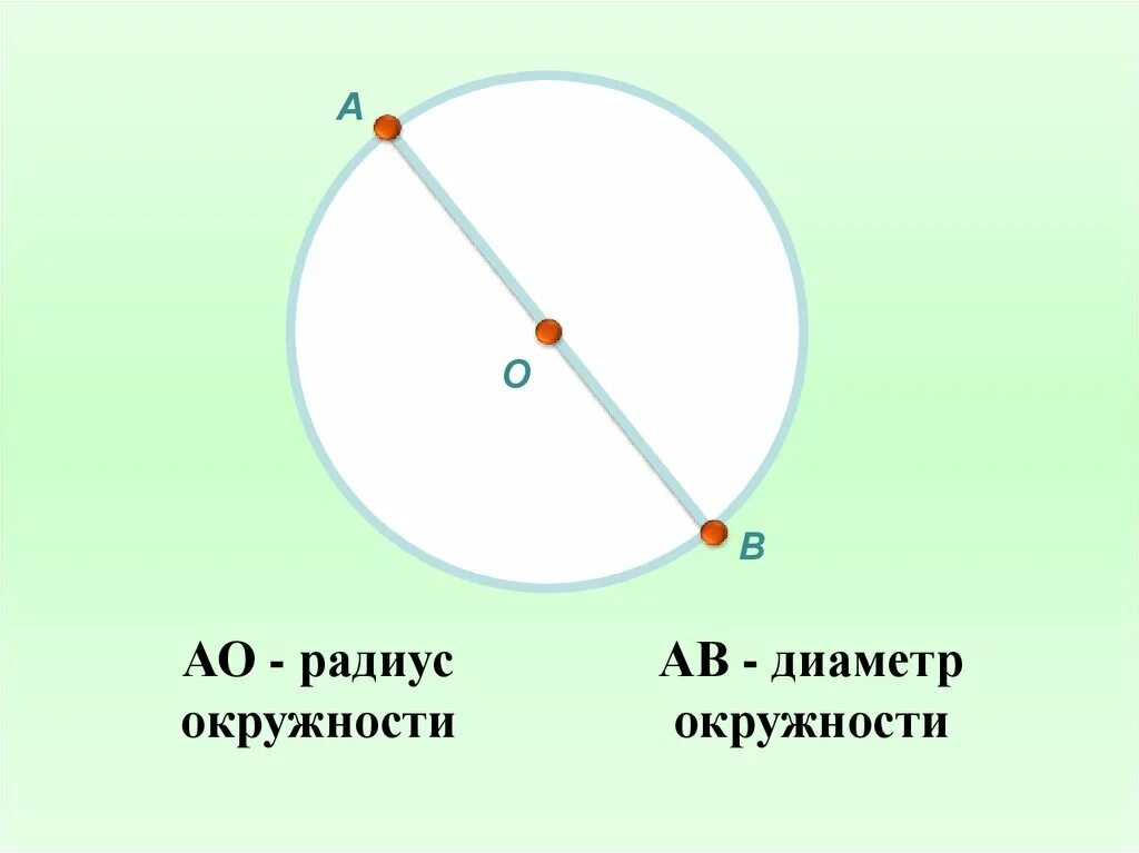 Окружность 3 класс. Диаметр окружности 3 класс. Диаметр круга 3 класс. Радиус и диаметр окружности 3 класс.