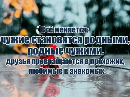 Родные стали. Родные люди становятся чужими. Когда родные становятся чужими цитаты. Цитаты про родных которые стали чужими. Цитаты про близких людей которые стали чужими.