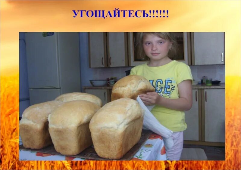 Проект в доу от зернышка до зернышка. Хлеб для дошкольников. Хлеб всему голова. Кигага в. От зернышка до каравая.