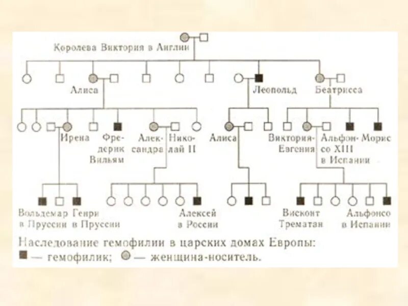 Древо семьи биология генетика. Родословная биология 9 класс генетика. Генетическое Древо Романовых гемофилия. Схема родословной биология 9 класс. Родословная схема семьи биология 9 класс.