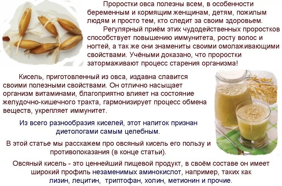 Чем полезен овсяный кисель. Чем полезен овес. Полезен ли овсяный кисель. Овсяный кисель рецепт приготовления. Можно дай рецепт