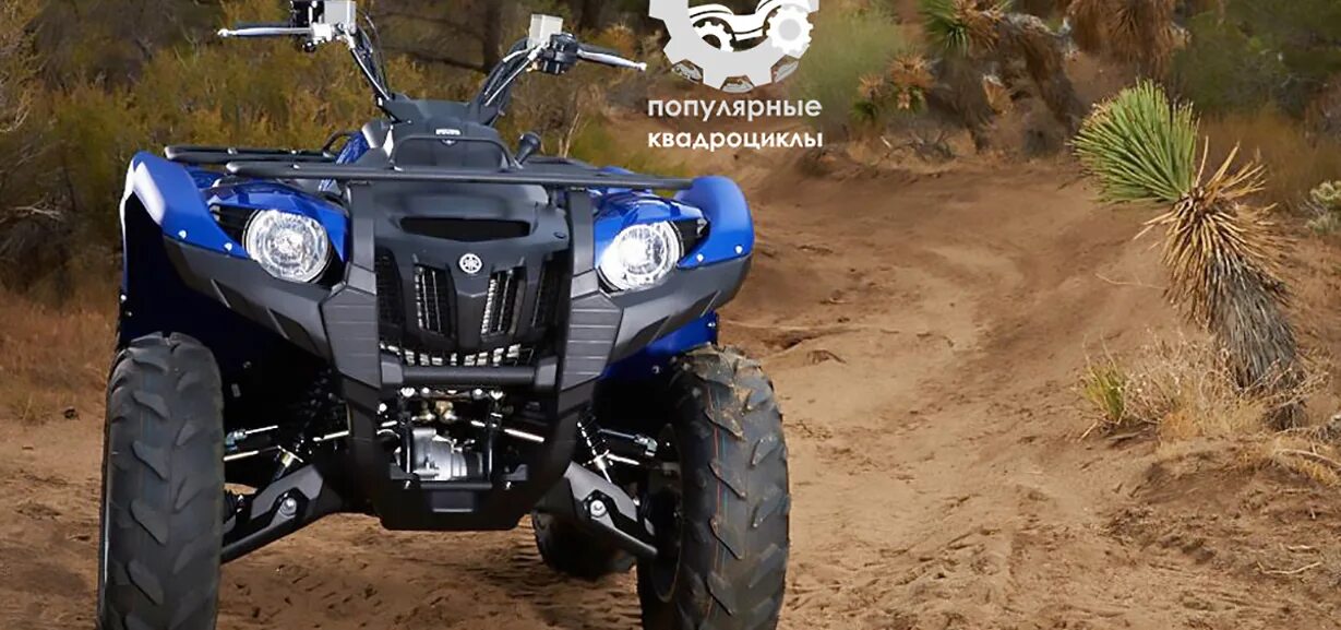 Квадроцикл гризли 700. Yamaha grizzly 700 2021. Ямаха гризли 800 кубов. Квадроцикл yamaha grizzly 450. Yamaha grizzly 700 2023.