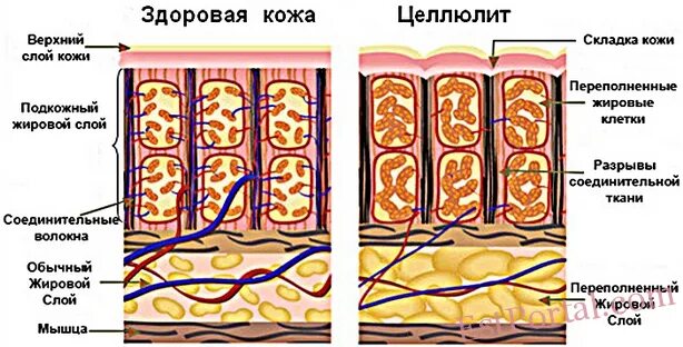 B.B.SHUGARING & AESTHETIQUE, салон на Пражской улице в Кудрово 