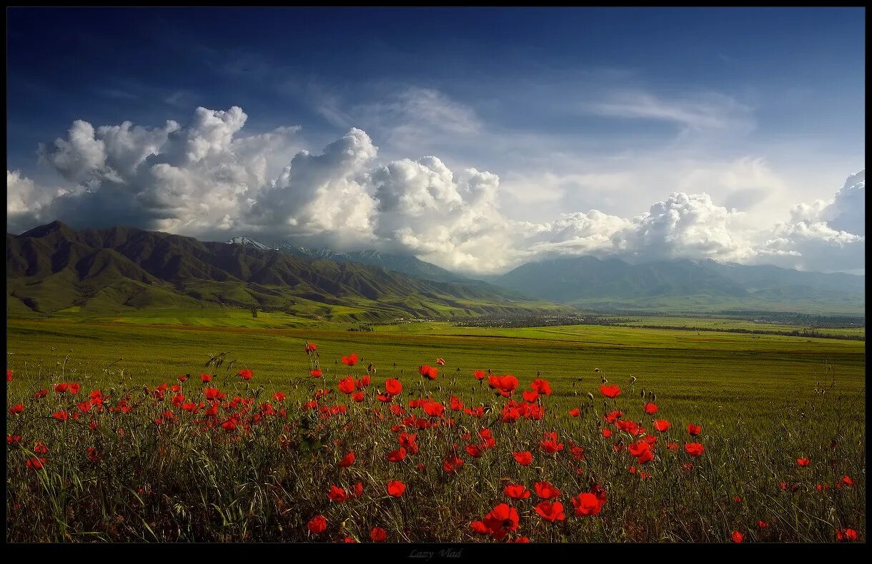 Киргизия в мае. Киргизия климат. Степи Тянь Шаня. Горы Кыргызстана. Пейзаж Кыргызстан Кызгалдак.