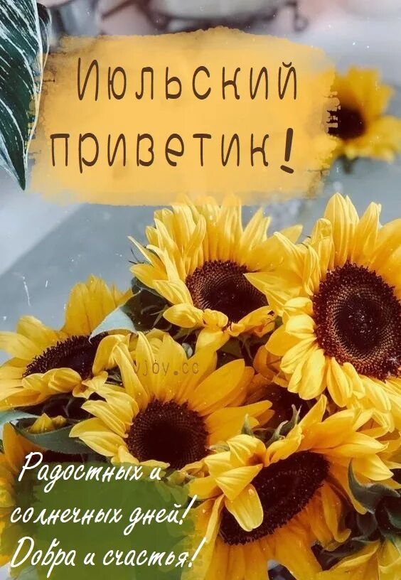 Доброе утро подсолнухи. Доброго июльского дня. Открытки июльский приветик. Июльский приветик. Открытки с добрым утром с подсолнухами.