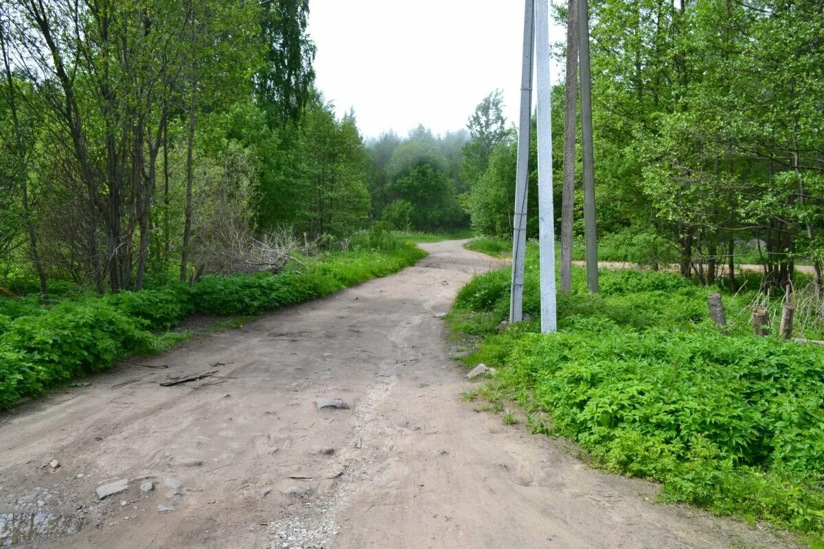 Пос кингисеппский. Пос кингисеппский. Поселок кингисеппский. Неппово психоневрологический интернат. Пос кингисеппский.